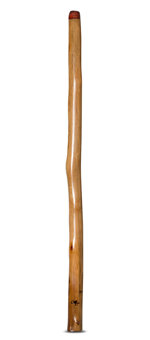 Tristan O'Meara Didgeridoo (TM265)